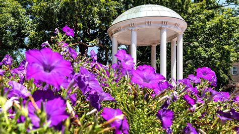 unc us news|unc chapel hill ranked.